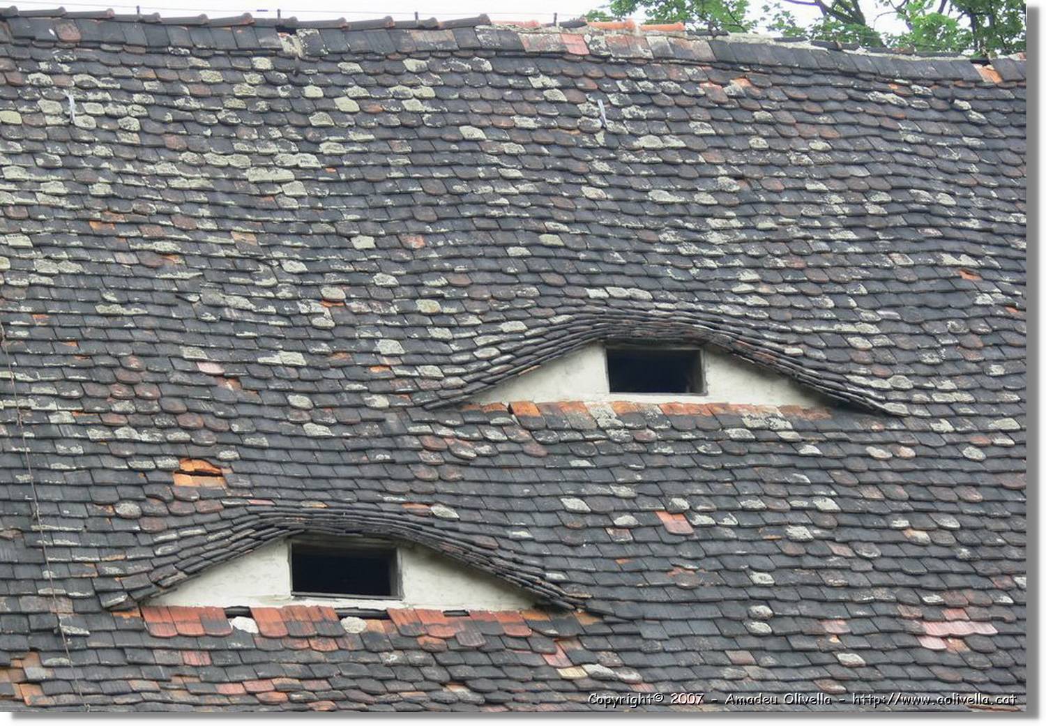 Thüringen_027.jpg