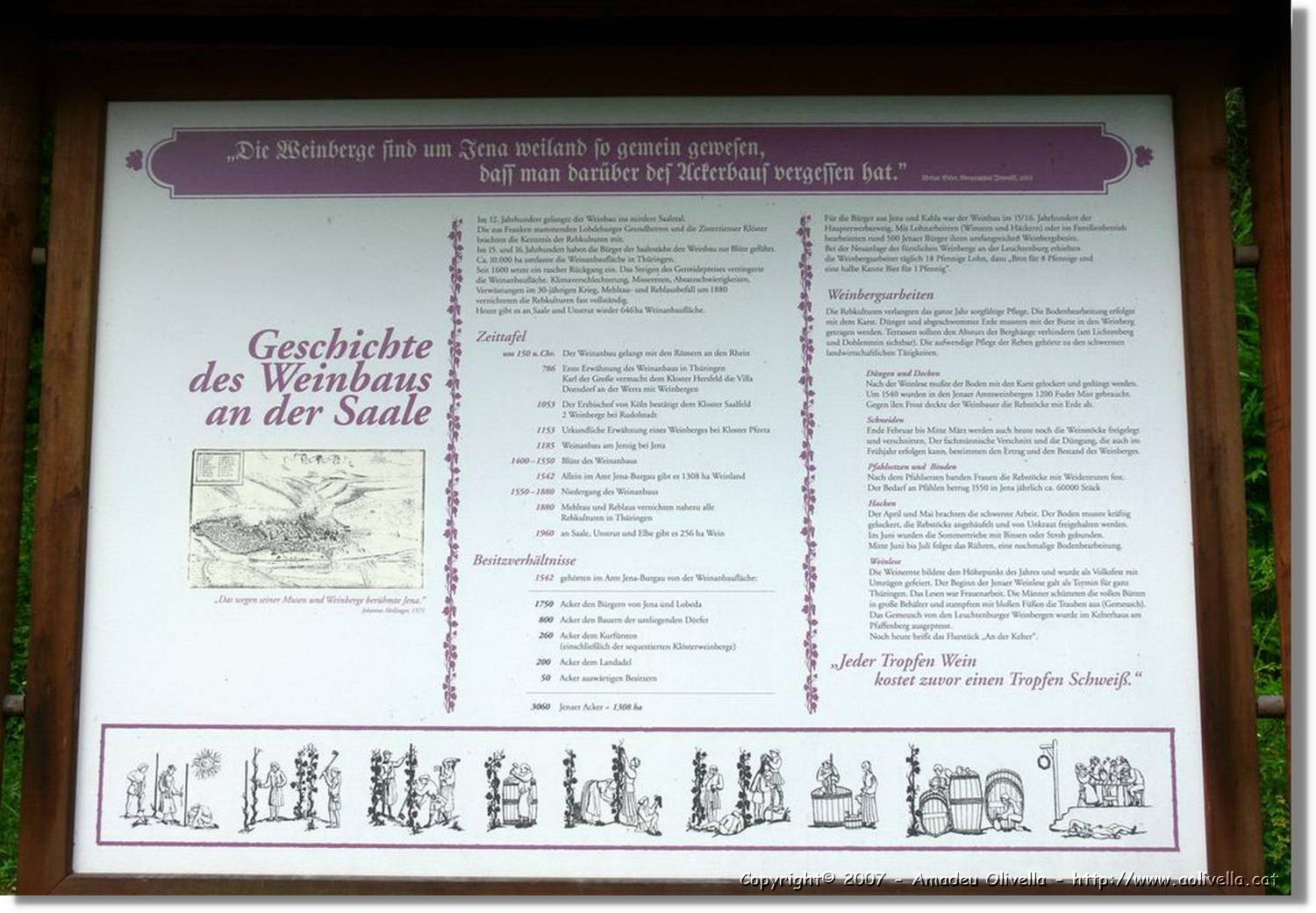 Thüringen_076.jpg