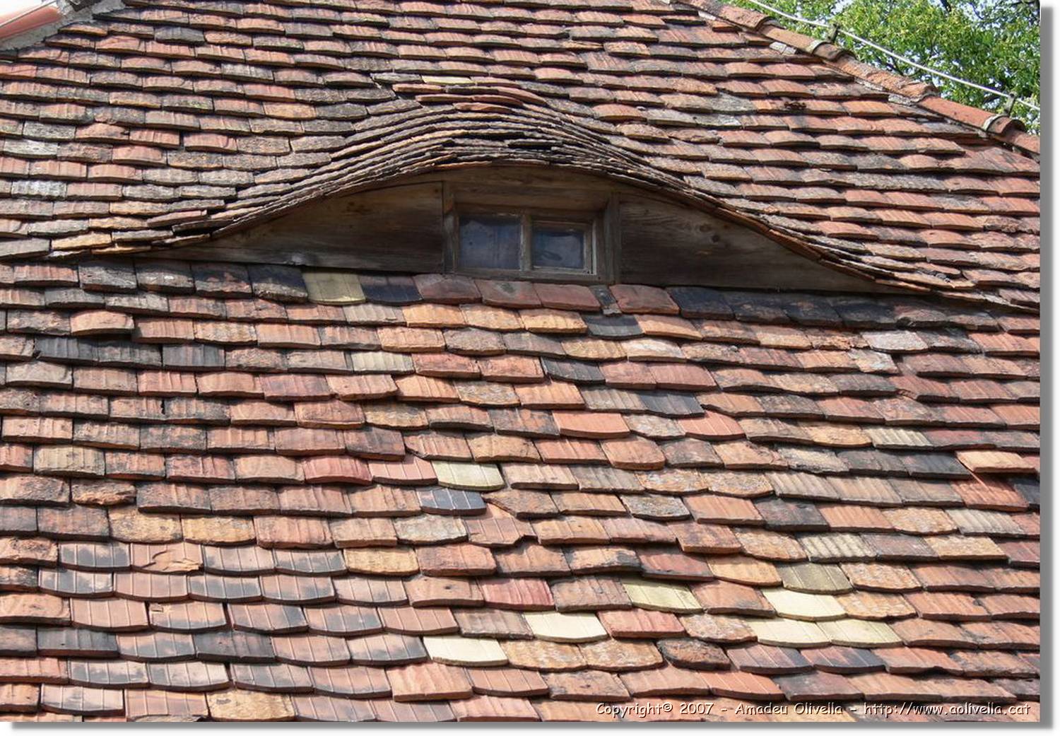 Thüringen_089.jpg