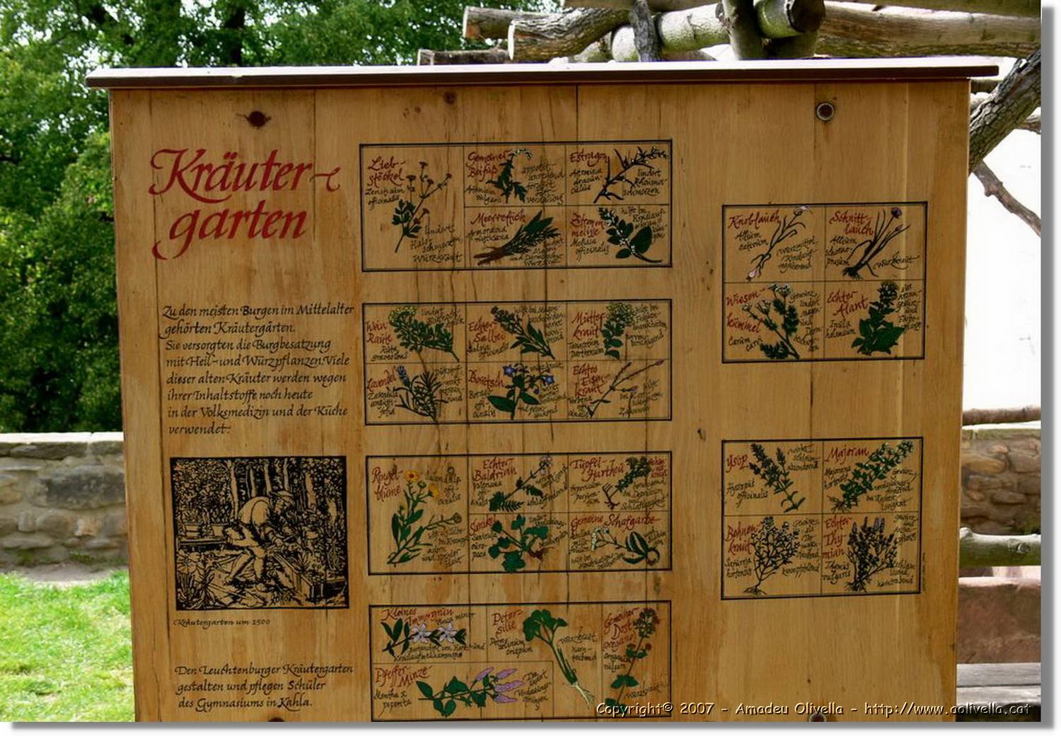 Thüringen_115.jpg