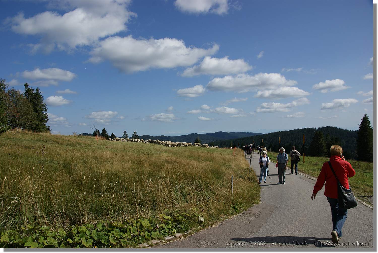 Feldberg_007.jpg