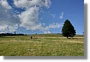 Feldberg_017.jpg