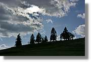 Feldberg_070.jpg