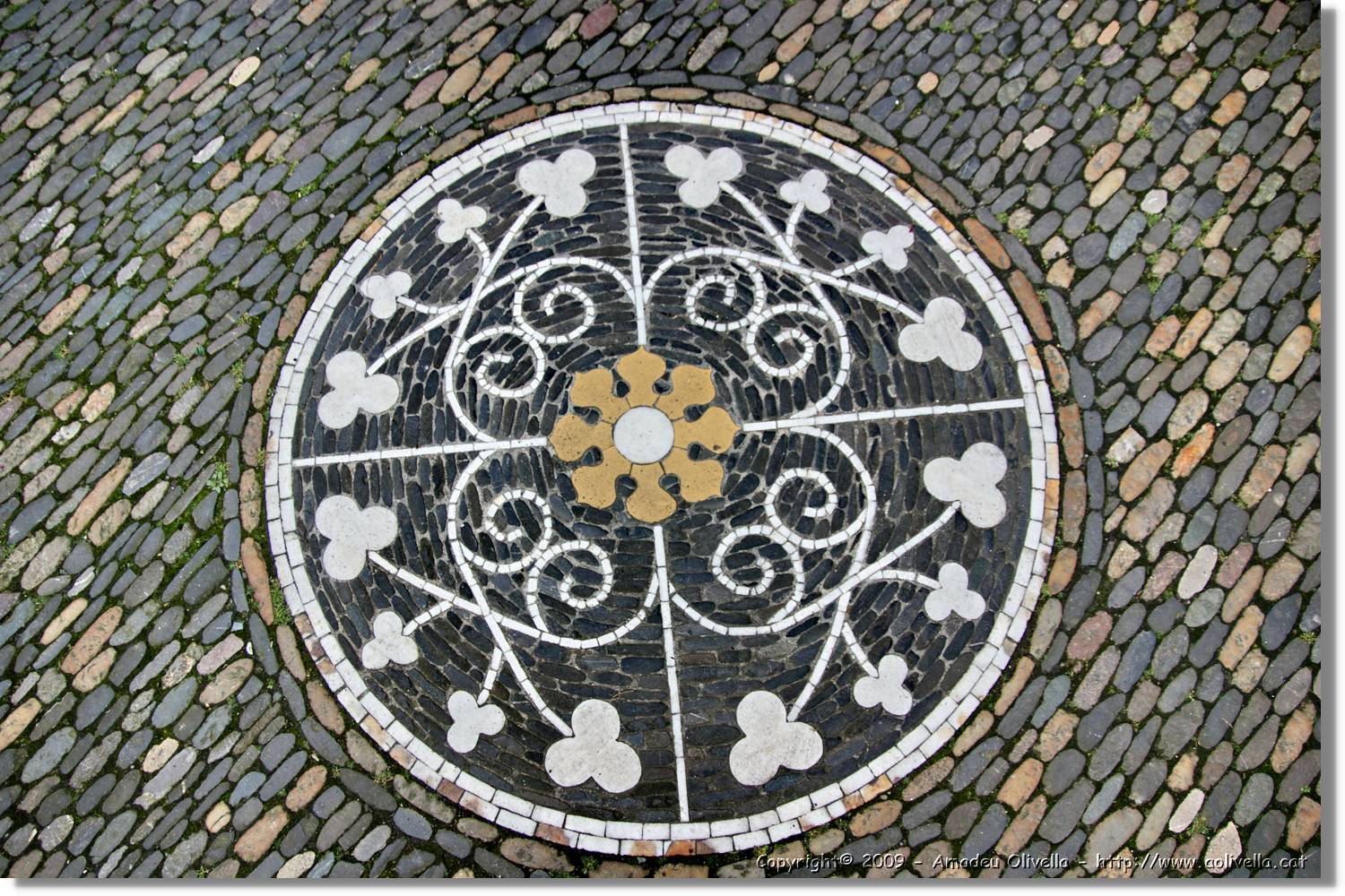 Freiburg_037.jpg