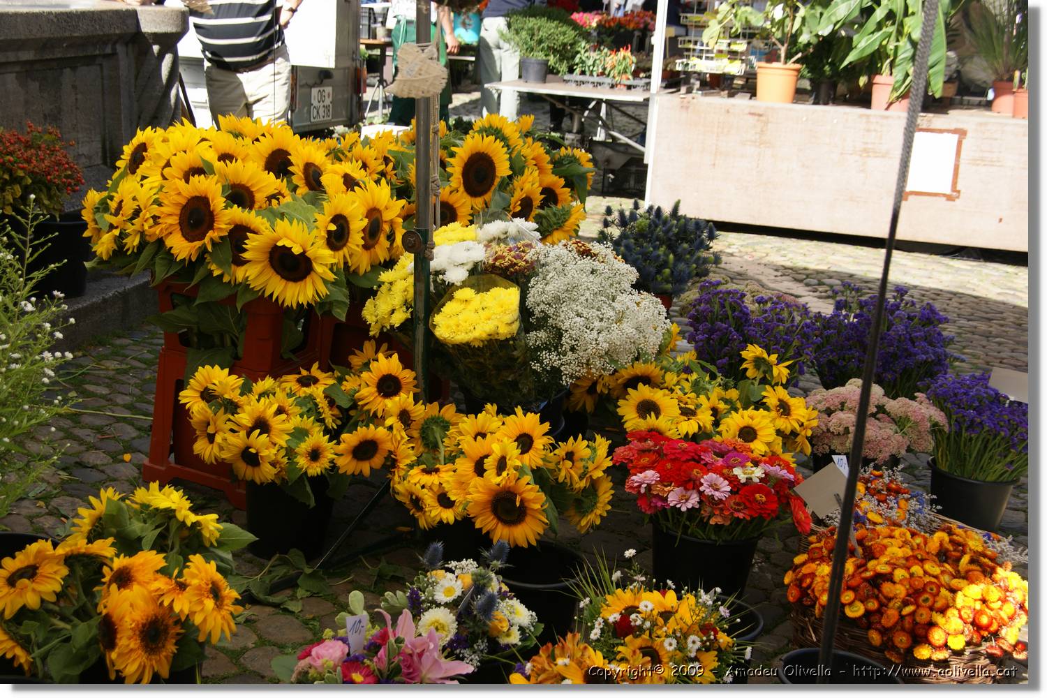 Freiburg_072.jpg