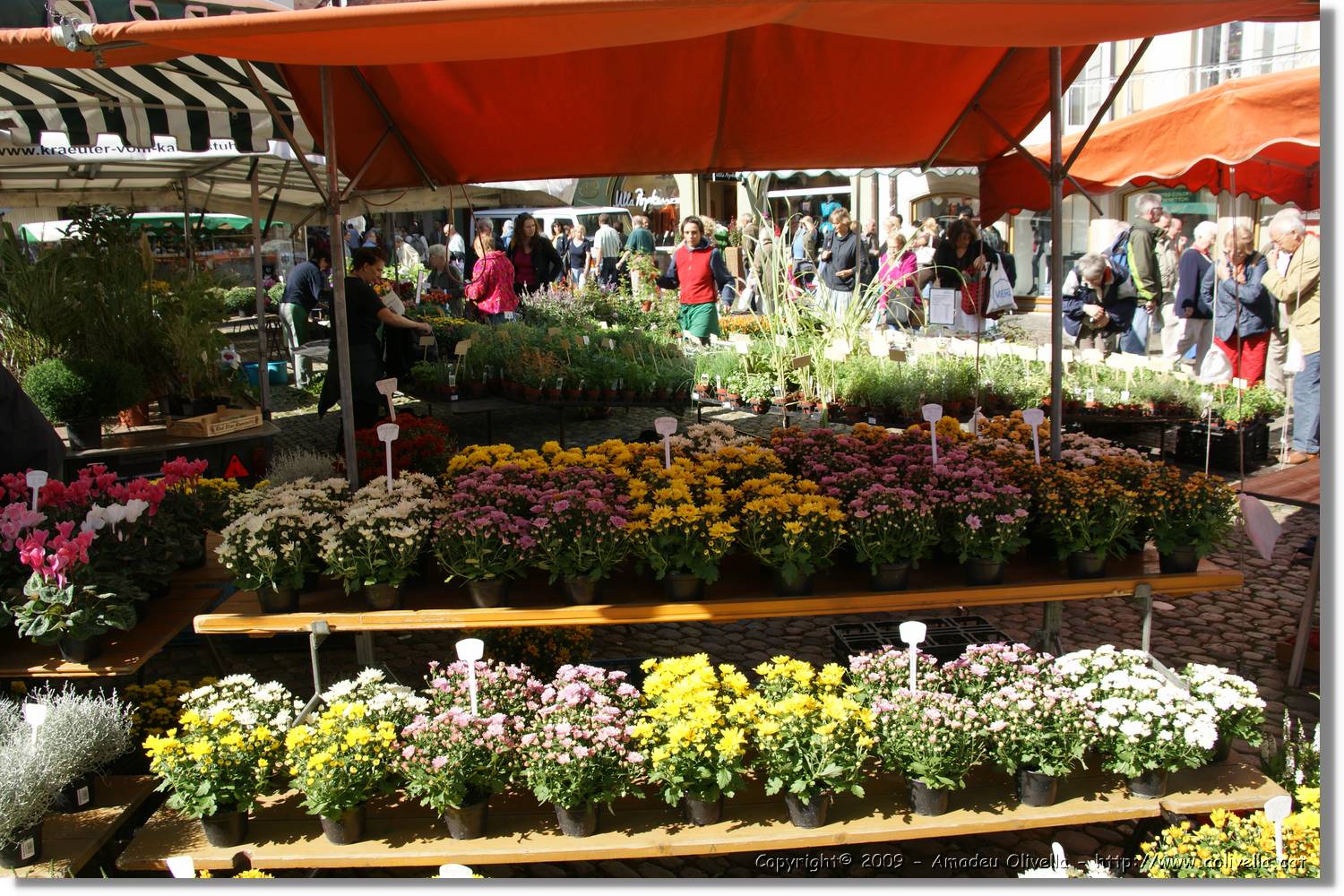 Freiburg_073.jpg