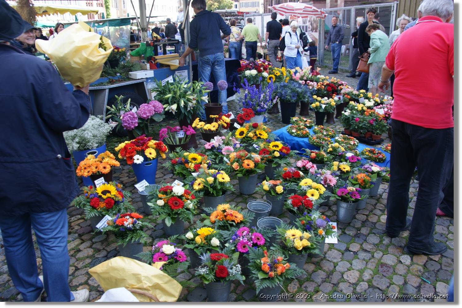 Freiburg_078.jpg