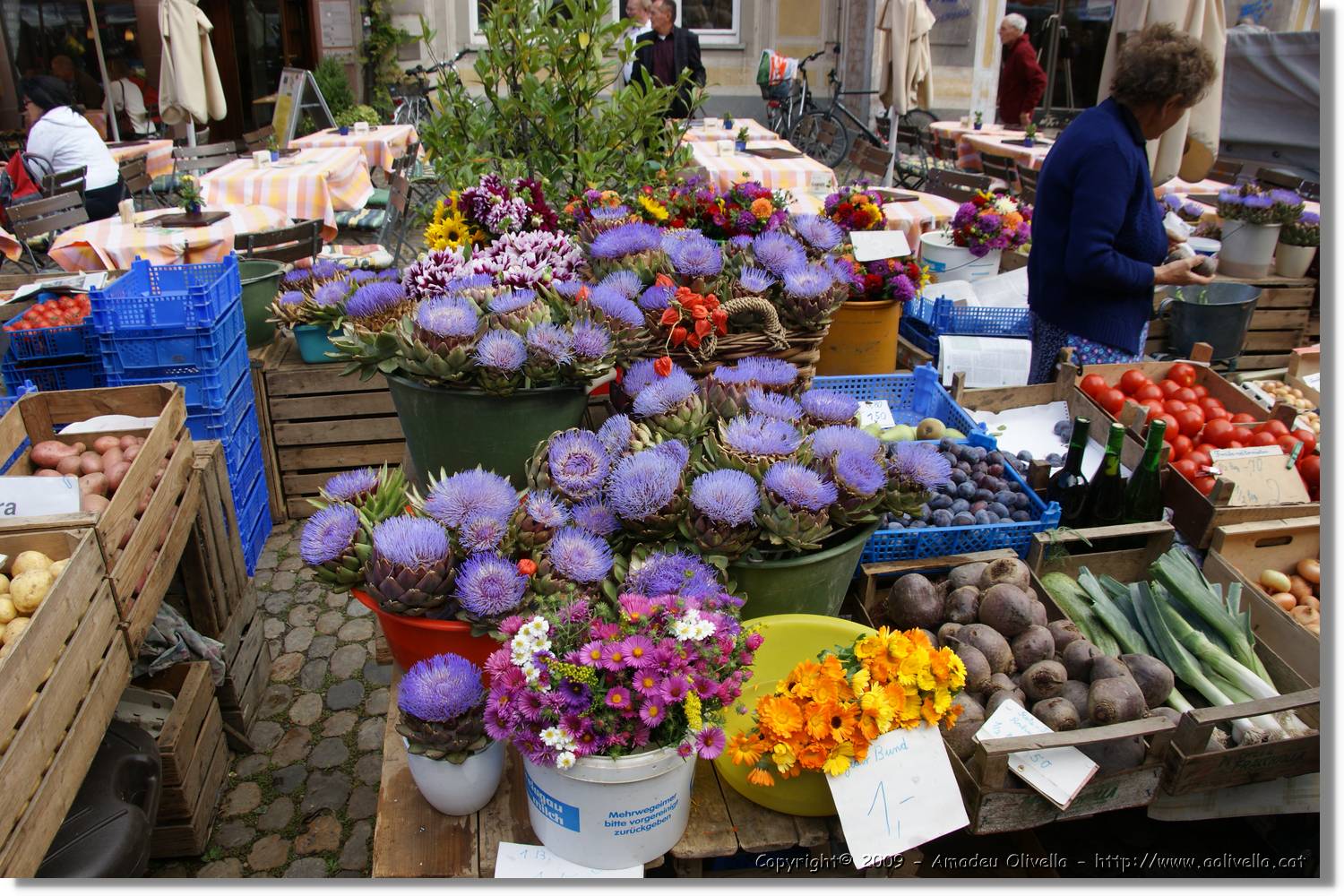 Freiburg_093.jpg