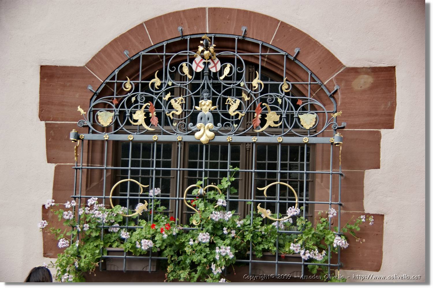 Freiburg_104.jpg
