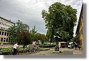 Freiburg_023.jpg