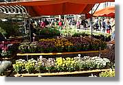 Freiburg_073.jpg