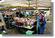 Freiburg_080.jpg