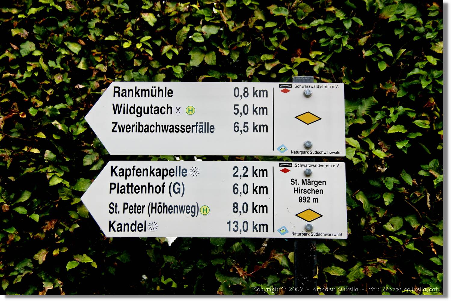 Wandern_122.jpg