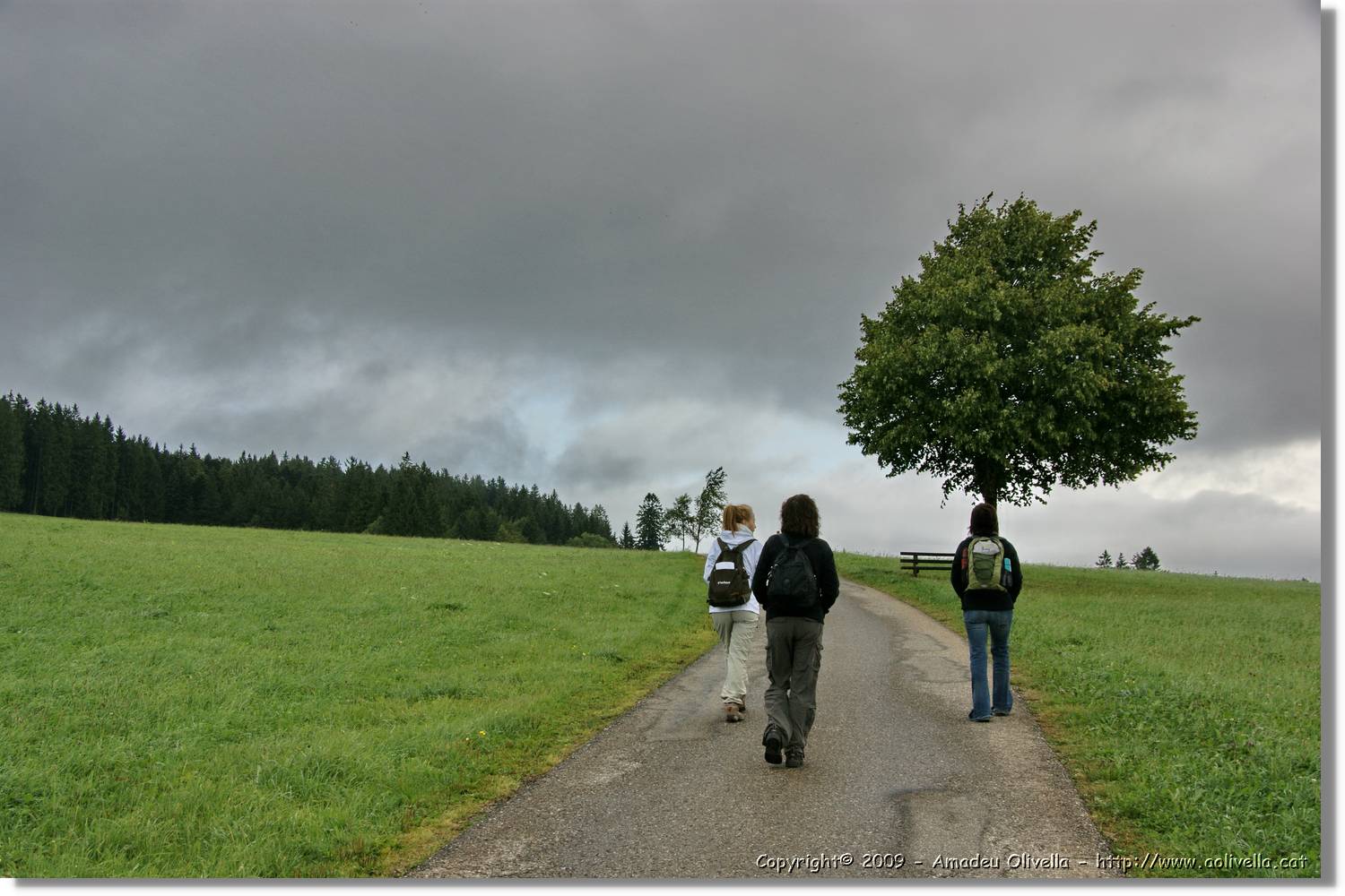 Wandern_125.jpg