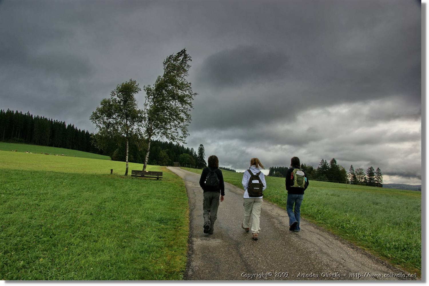Wandern_127.jpg