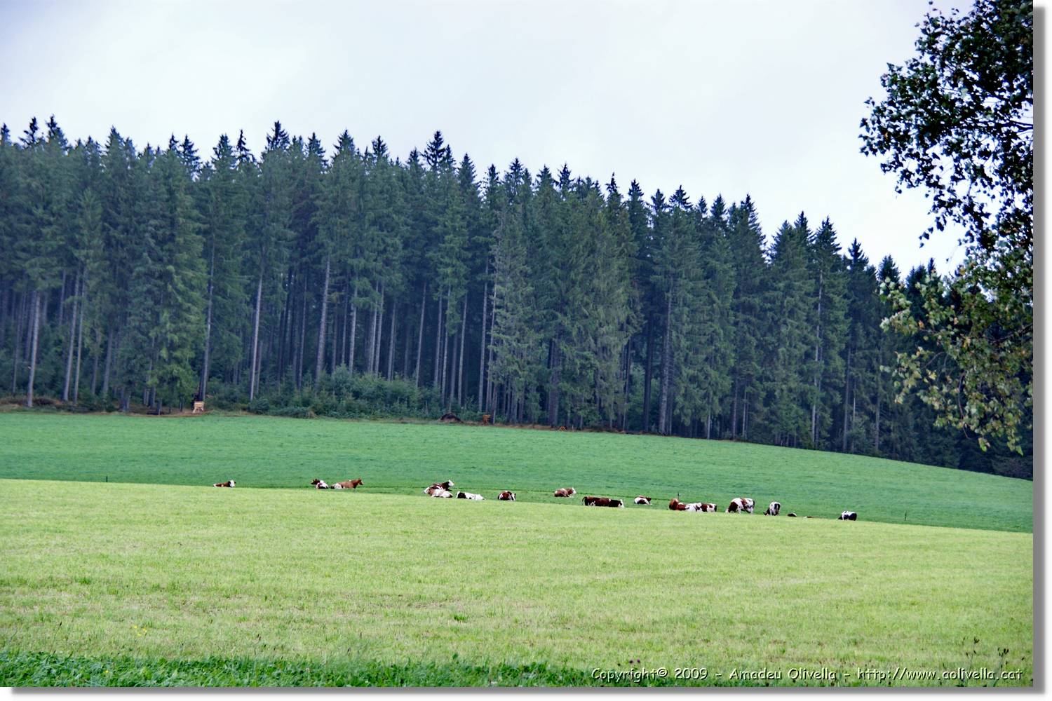 Wandern_128.jpg