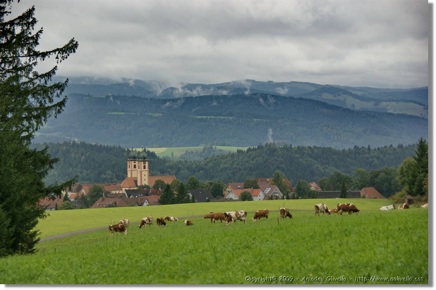 Wandern_131.jpg