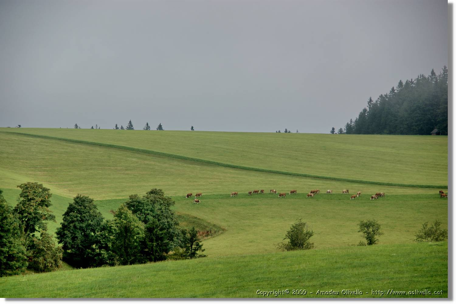 Wandern_142.jpg