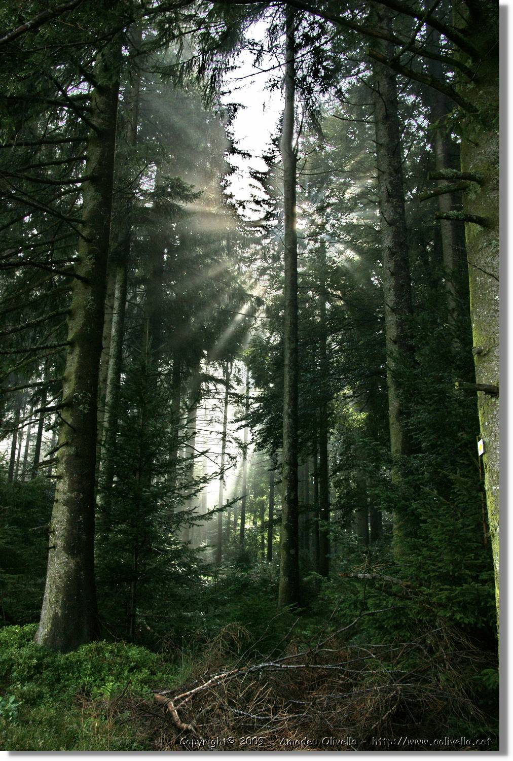 Wandern_143.jpg