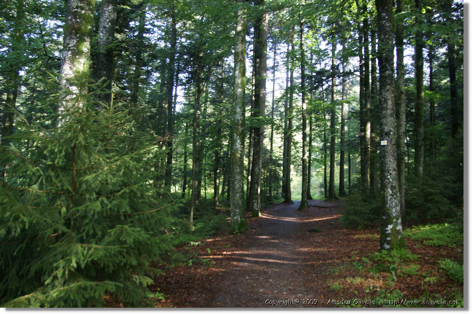 Wandern_149.jpg