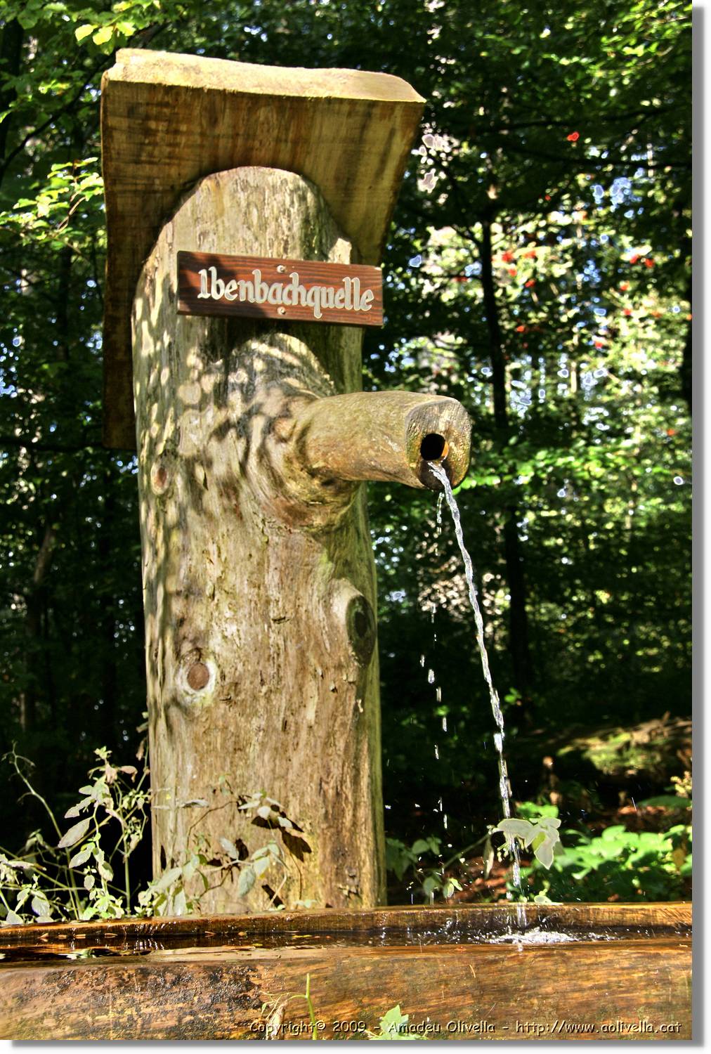 Wandern_152.jpg