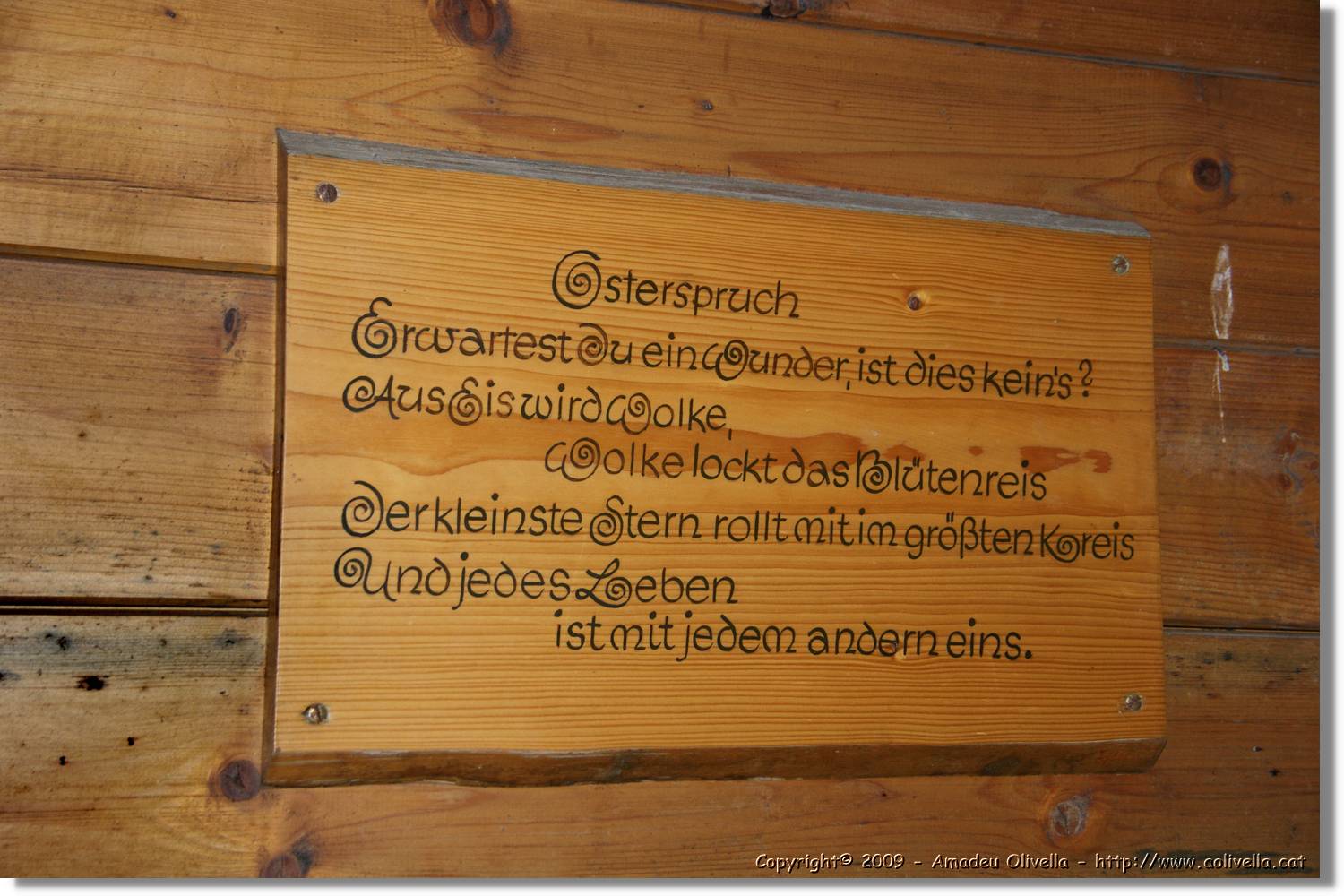Wandern_155.jpg