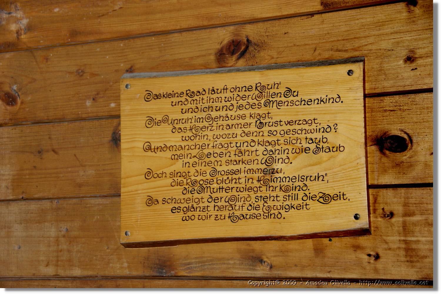 Wandern_156.jpg