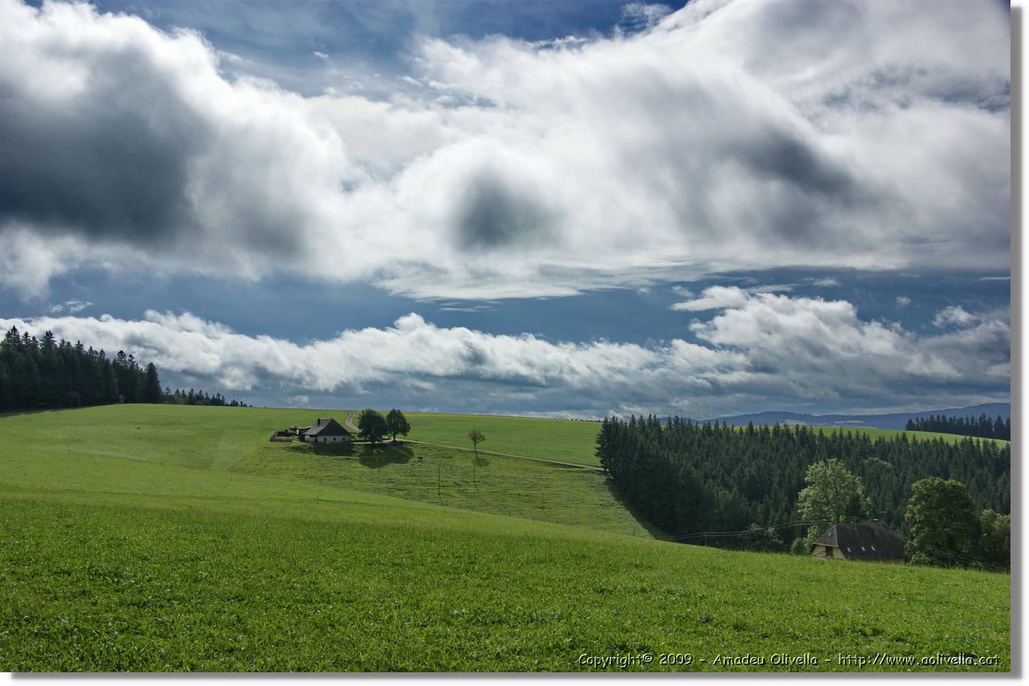 Wandern_160.jpg
