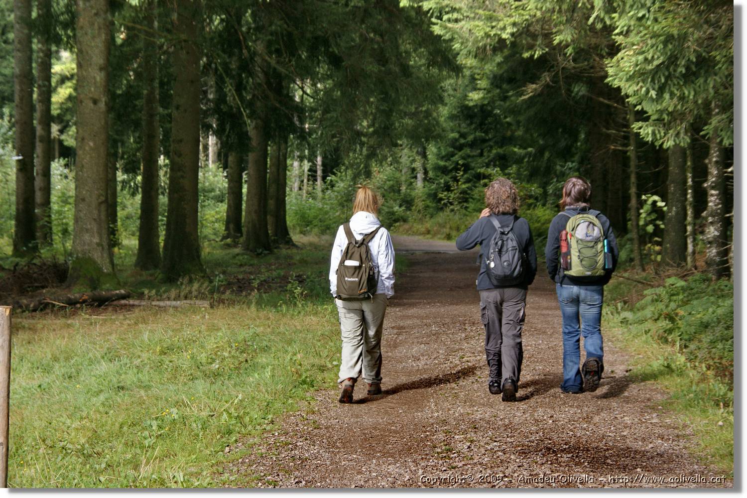 Wandern_162.jpg