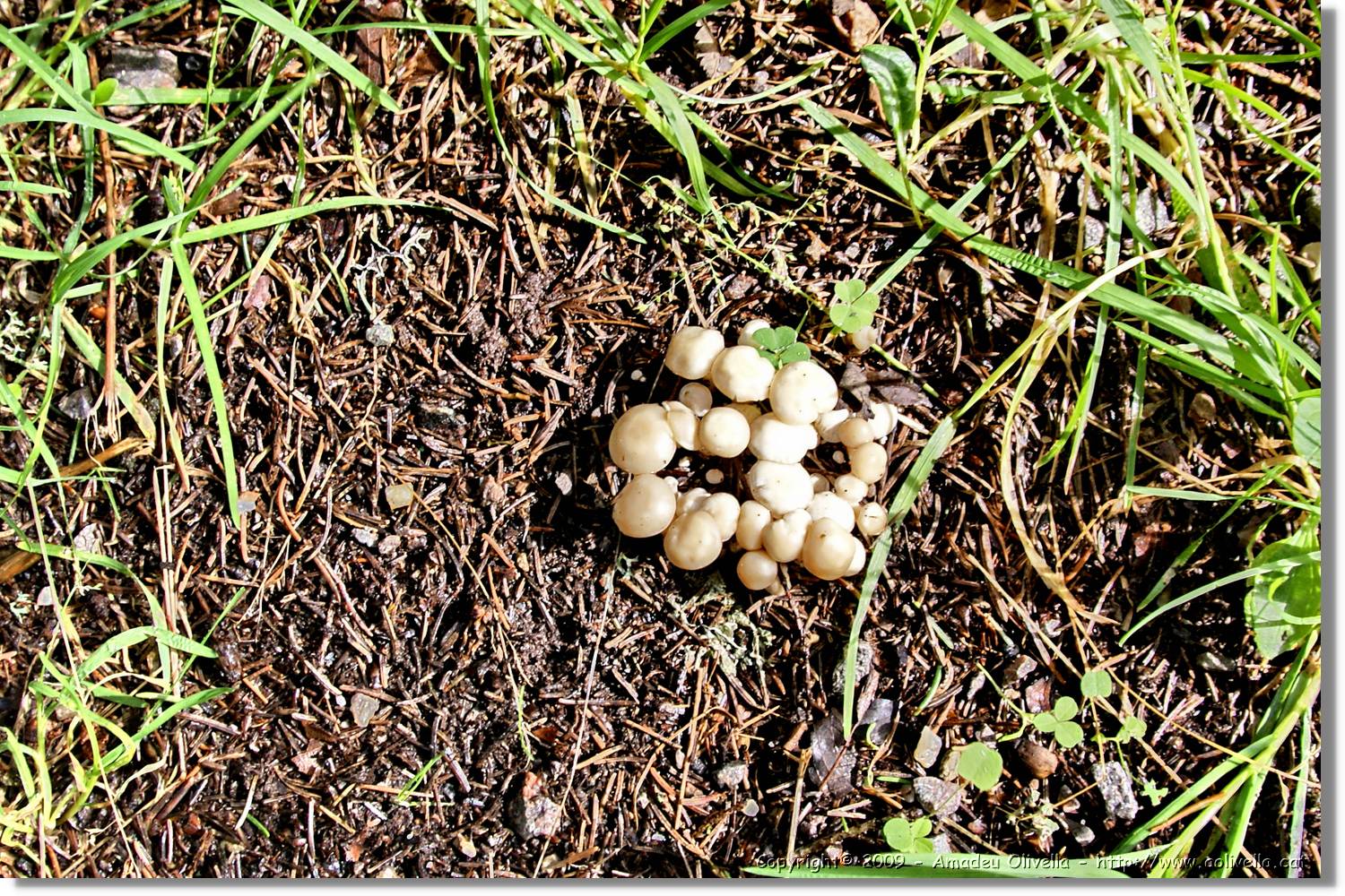 Wandern_164.jpg
