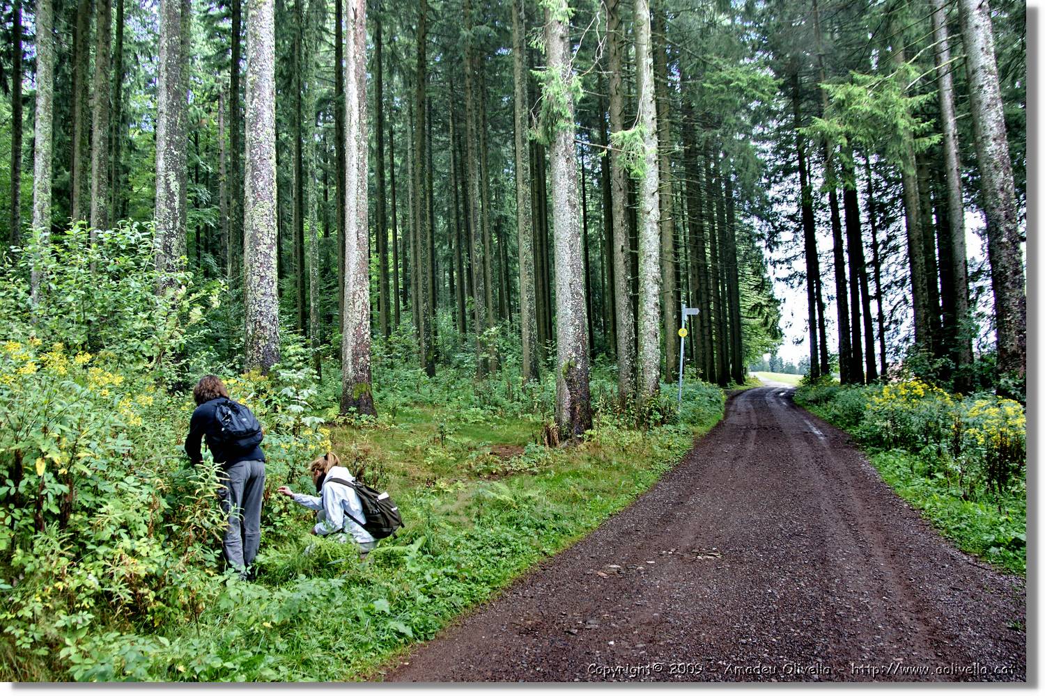 Wandern_165.jpg