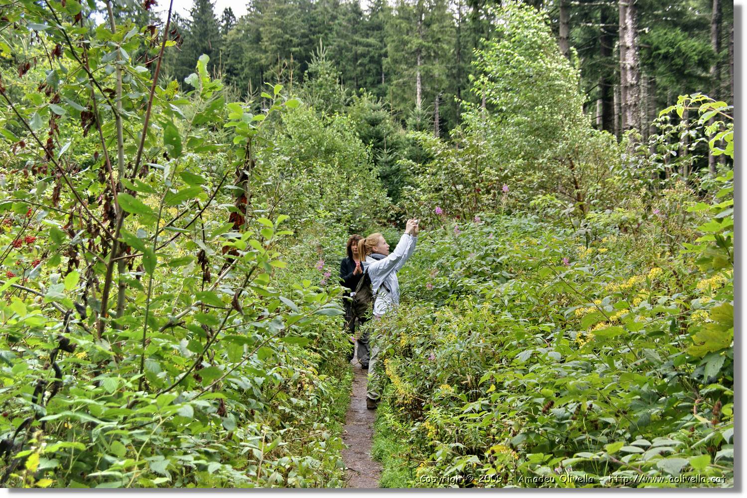 Wandern_166.jpg