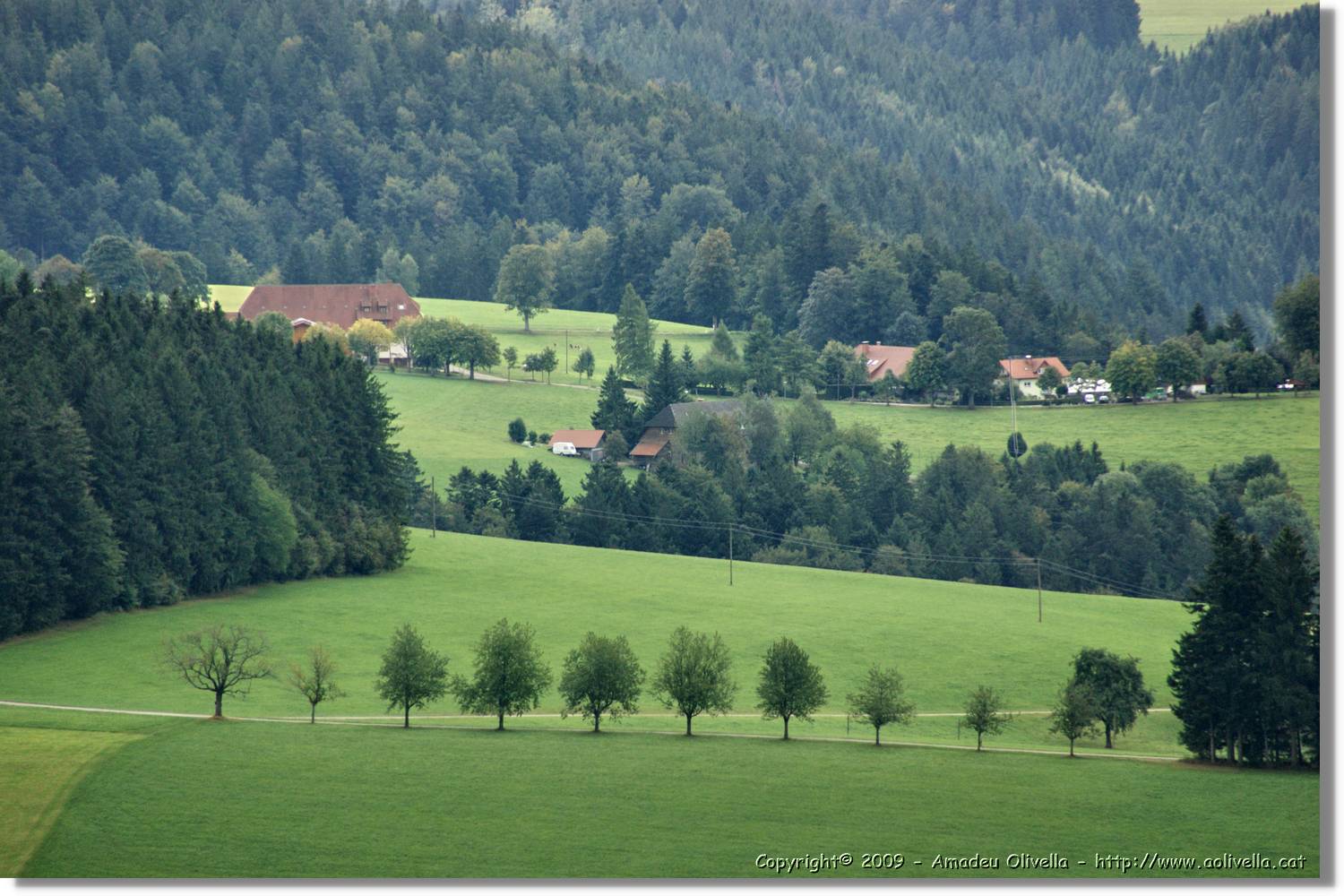 Wandern_172.jpg