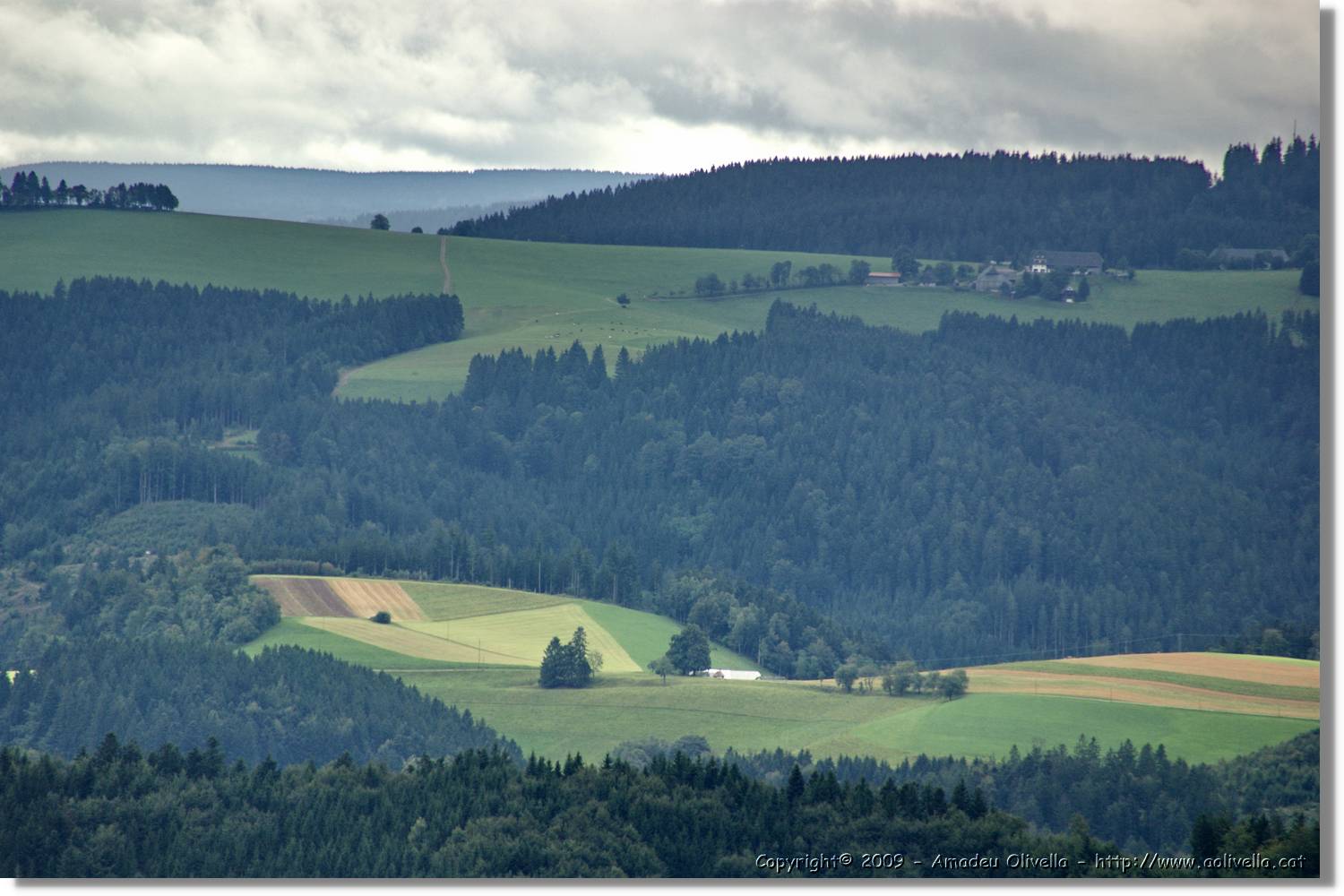 Wandern_173.jpg