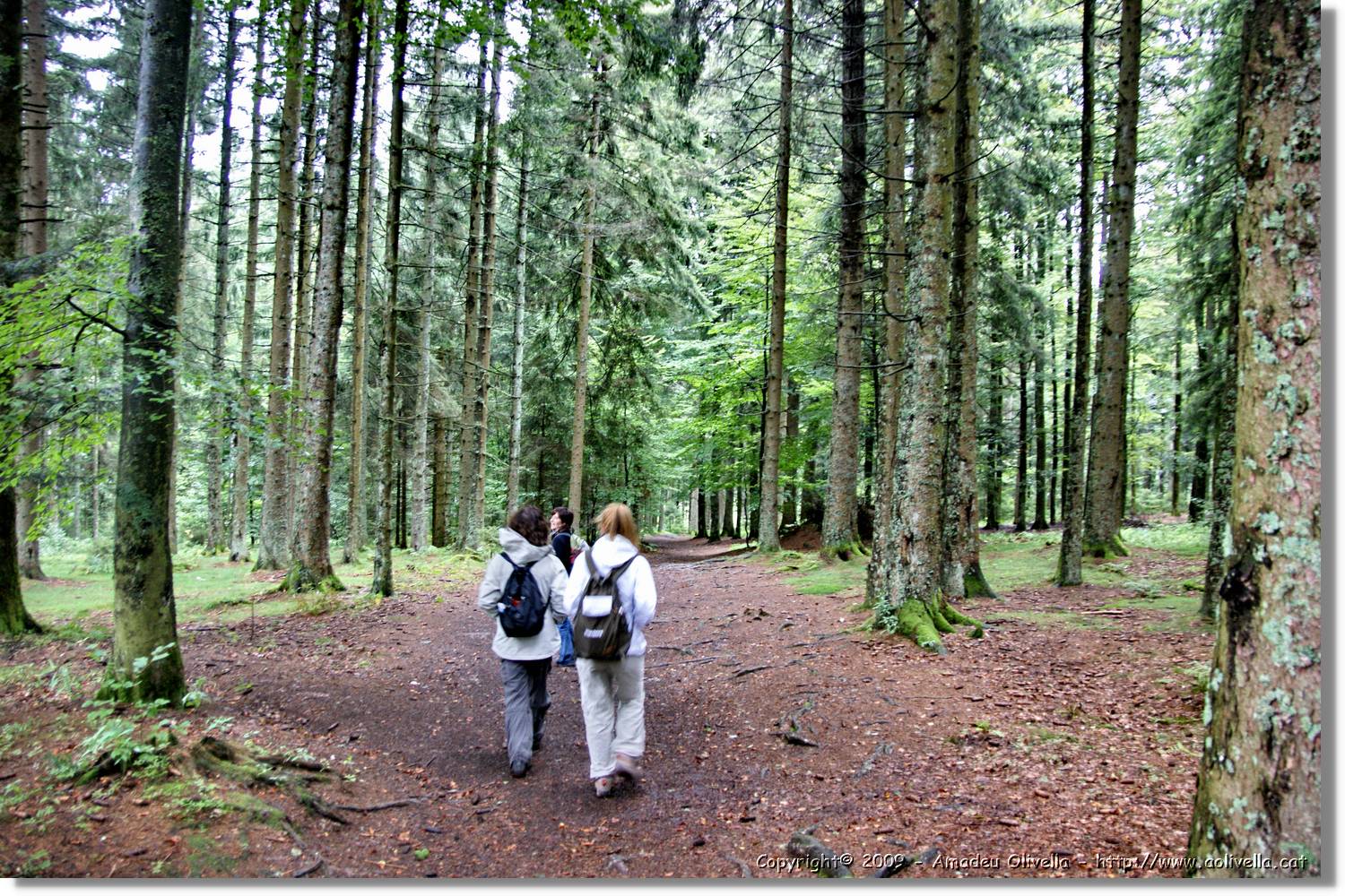 Wandern_174.jpg