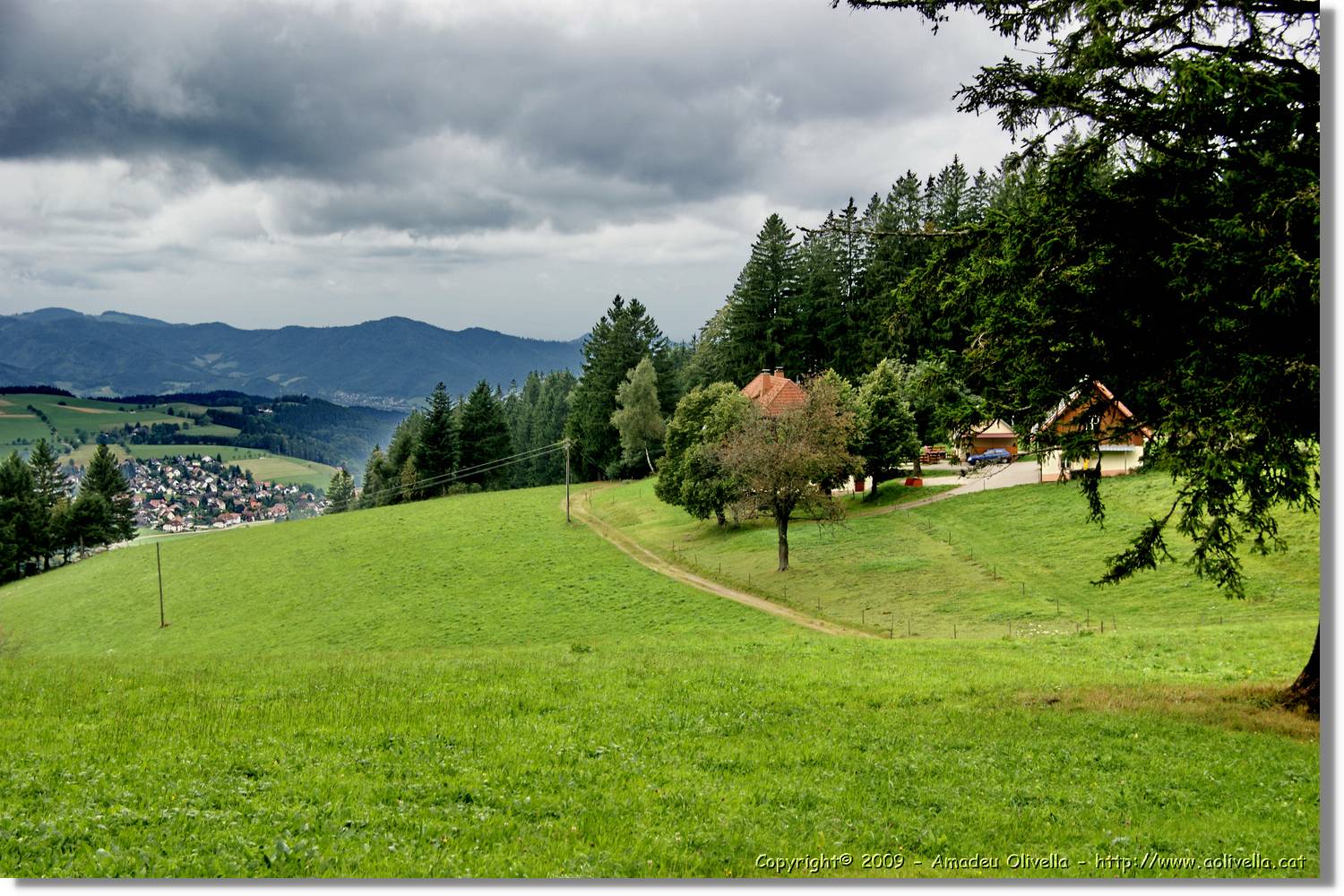 Wandern_175.jpg