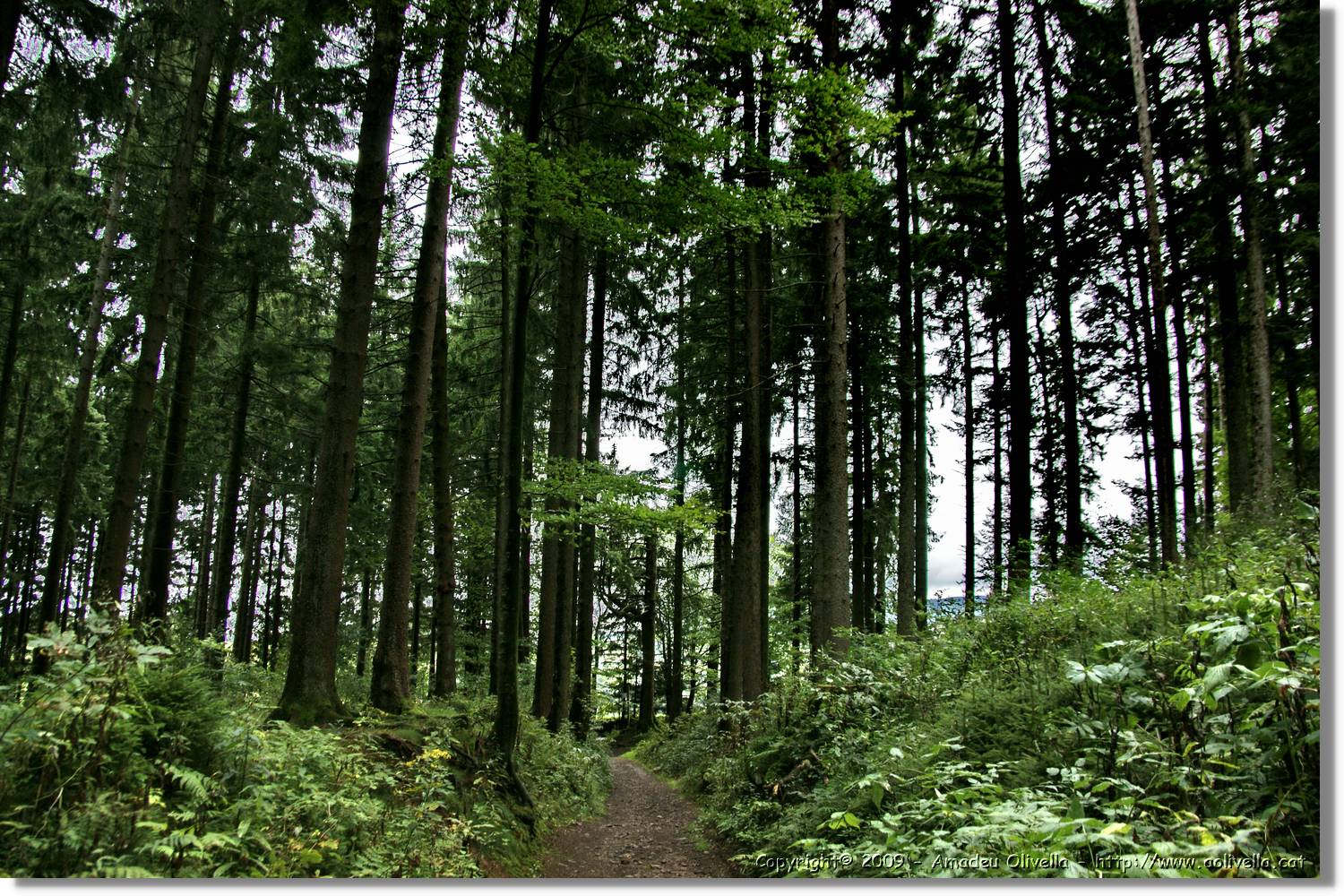 Wandern_178.jpg