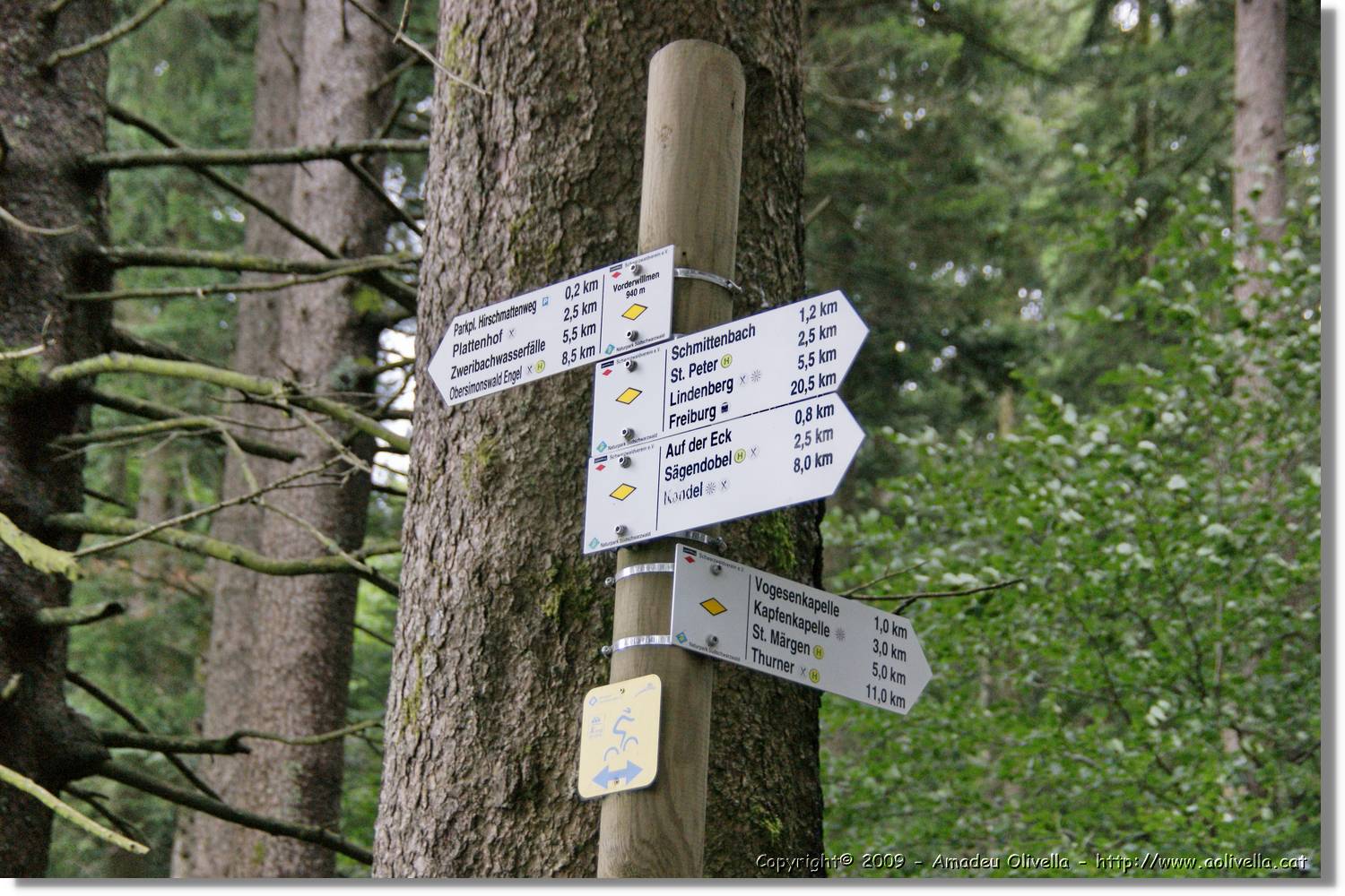 Wandern_179.jpg