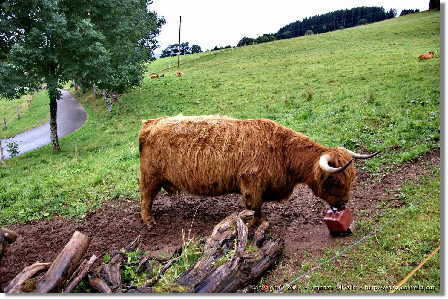Wandern_184.jpg