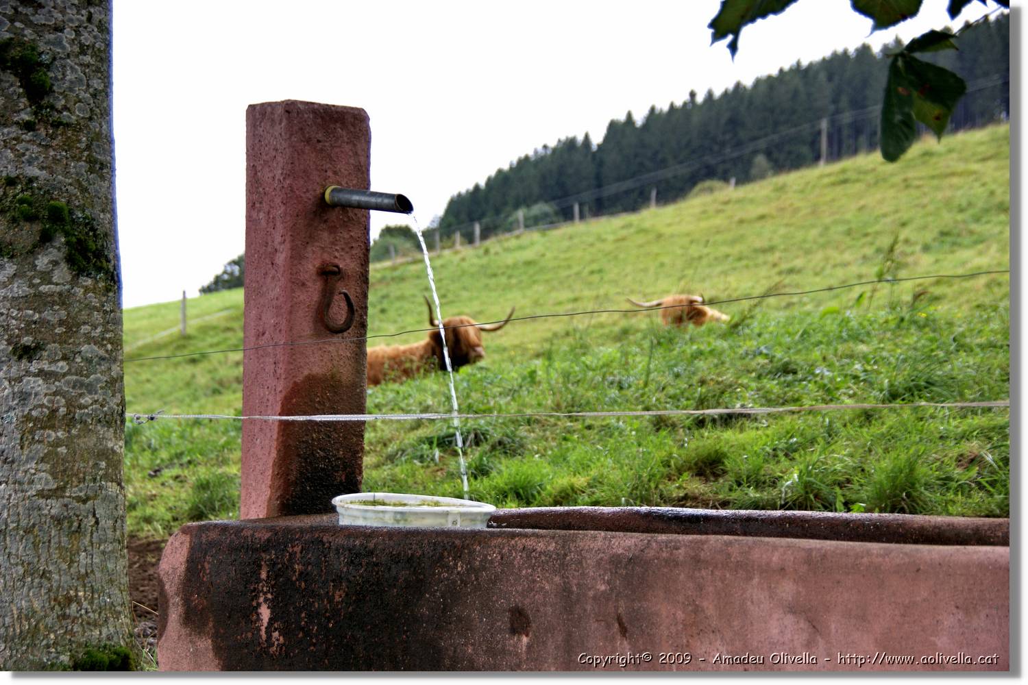 Wandern_185.jpg