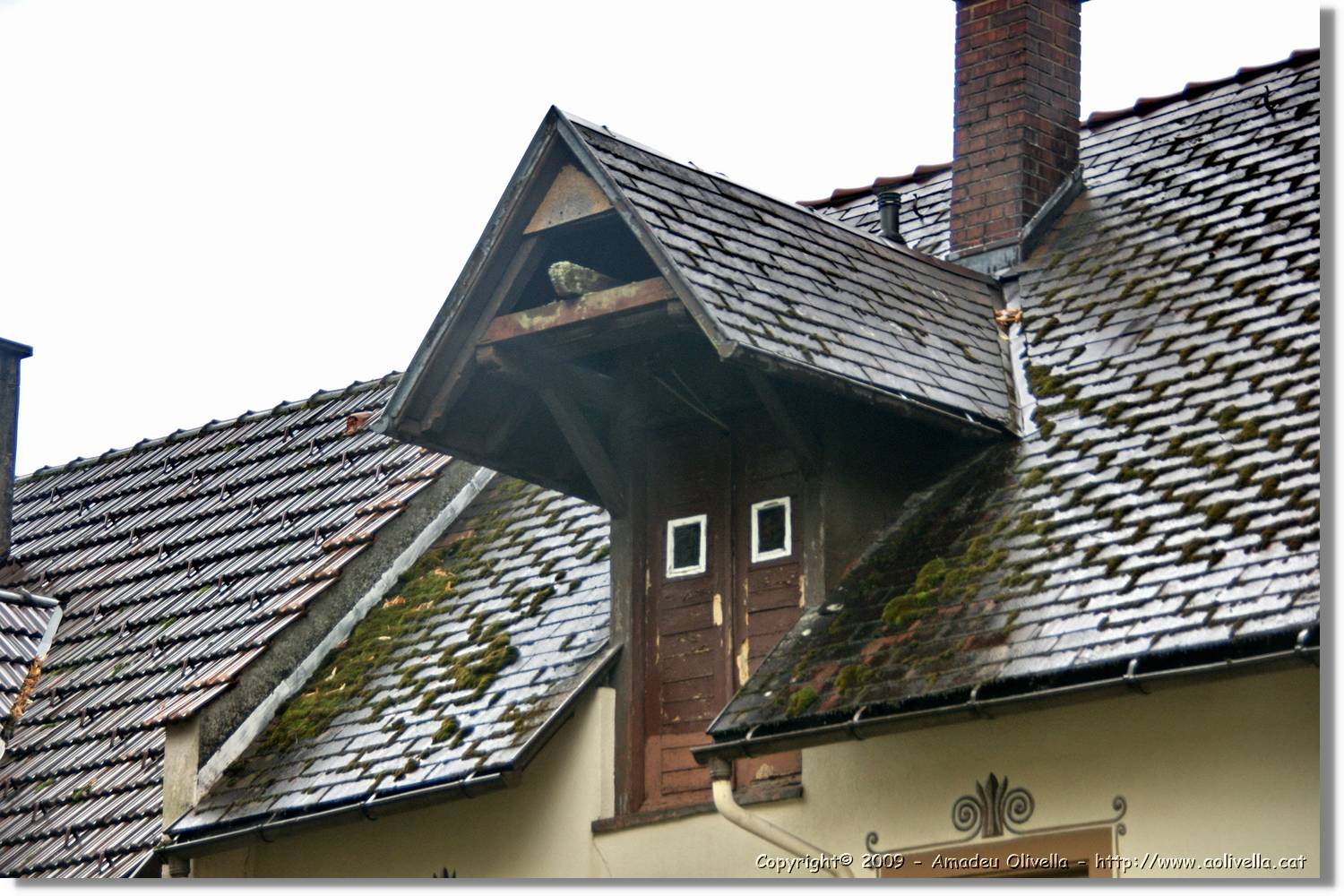 Wandern_217.jpg