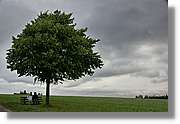Wandern_126.jpg