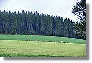 Wandern_128.jpg