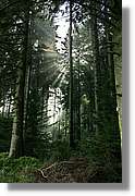 Wandern_143.jpg