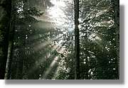 Wandern_144.jpg