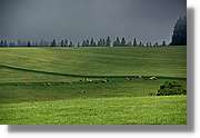Wandern_147.jpg