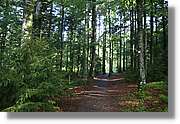 Wandern_149.jpg