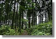 Wandern_178.jpg