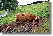 Wandern_184.jpg