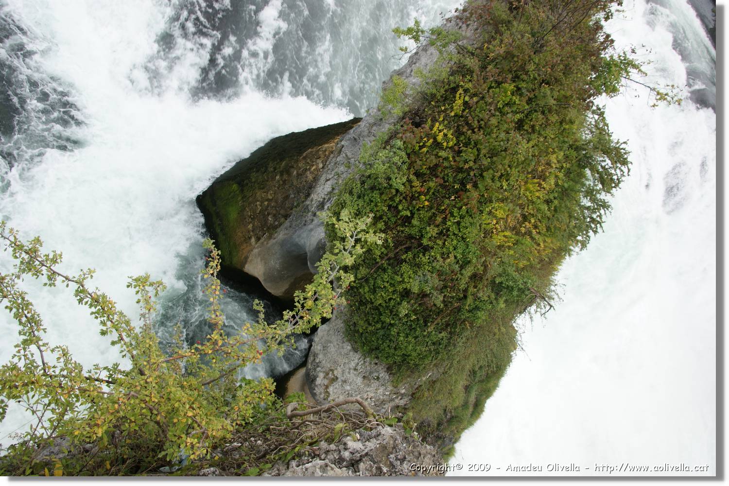 Rheinfall_025.jpg